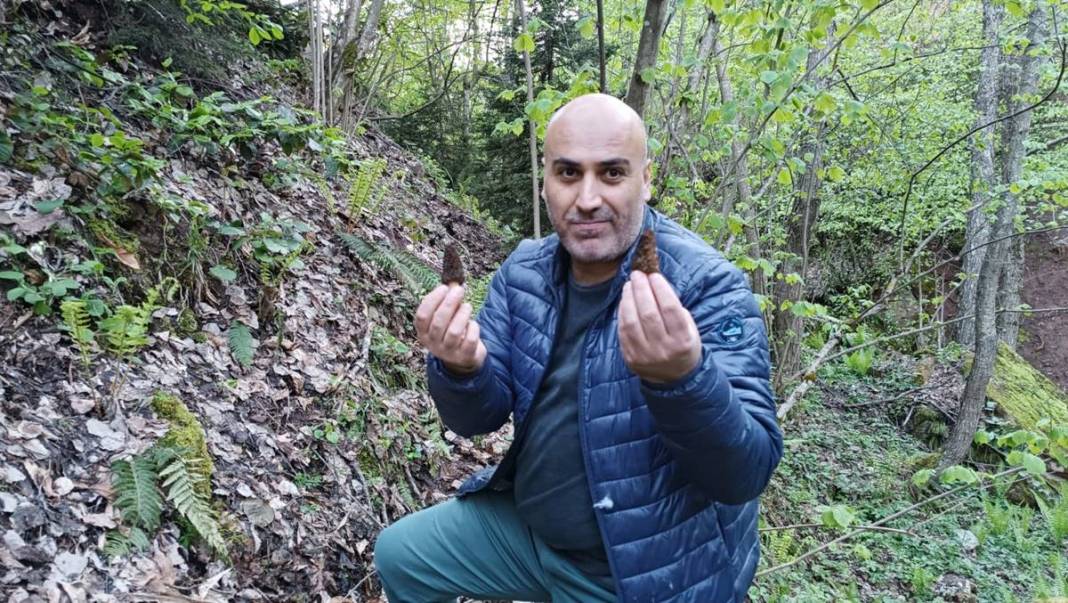 Ormanda toplayıp ton ton para kazanıyor! Sıfır sermayeyle... Kilosu 2 bin 500 TL 15